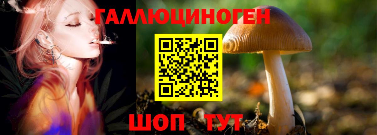 Псилоцибиновые грибы Psilocybine cubensis Смоленск